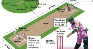 Cricket rules